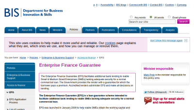 Enterprise Finance Guarantee